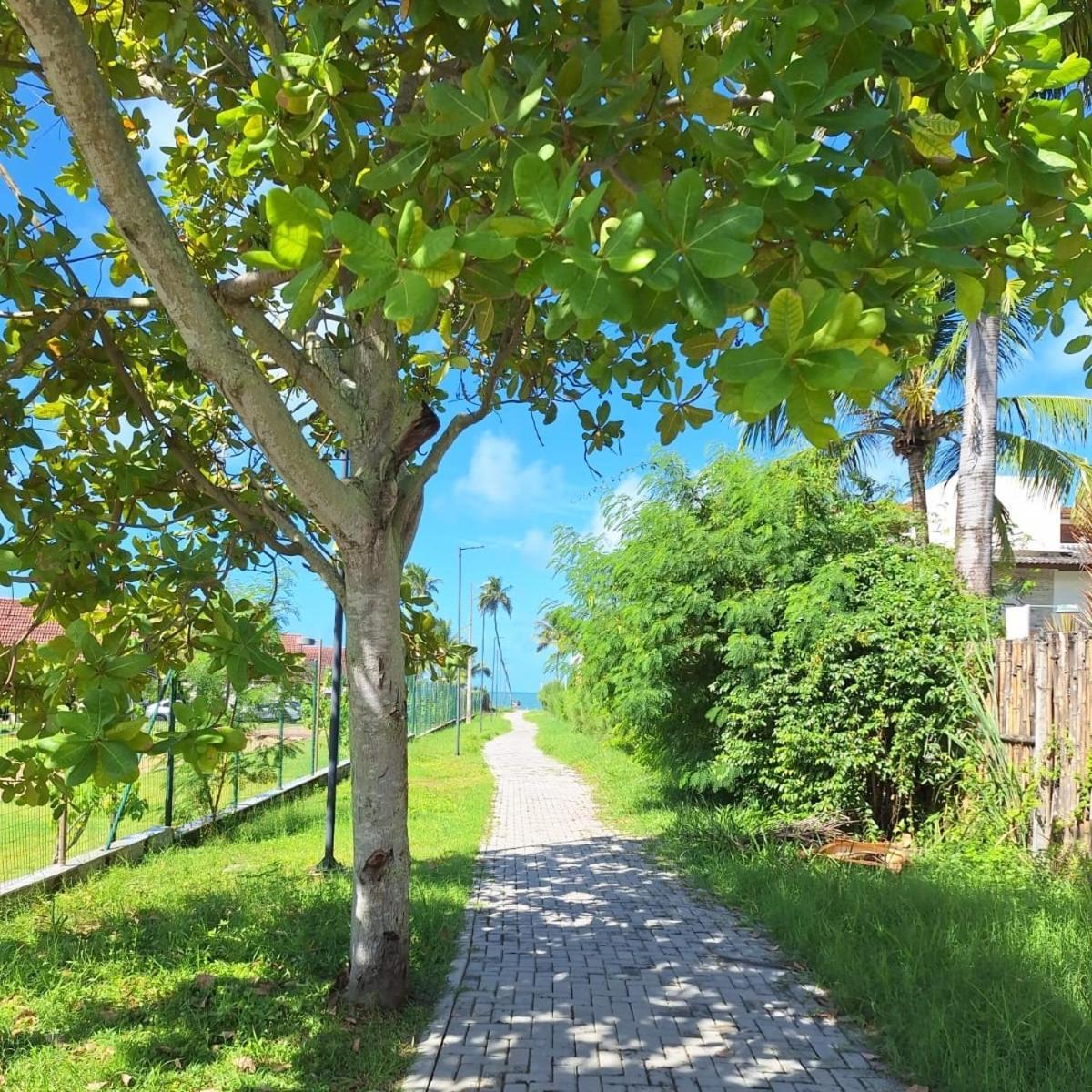 Flat Em Muro Alto-Porto De Galinhas-Makia Beach Experience Exterior foto